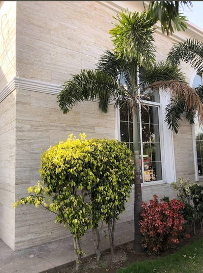 Travertine Front Elevation